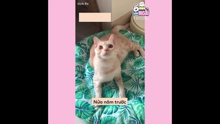 [Vietsub] Đã phận con sen thì không phân biệt tuổi tác (Phần 3) | Ổ nhỏ của Hoài