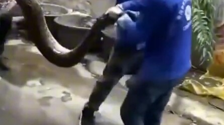 That's why I knew I'd seen you somewhere!