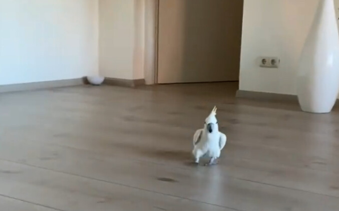 Ngay cả Quế Quỳ 40 tuổi khi nghe nói sẽ đi chơi cũng sẽ rất hào hứng :)