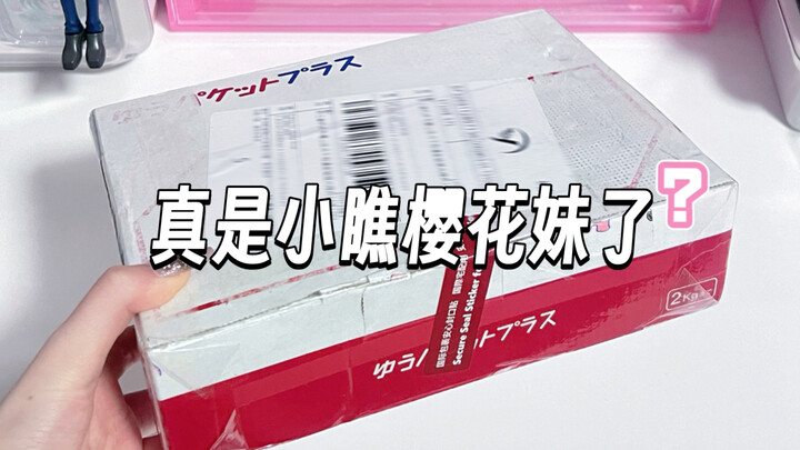 Ý bạn là cái hộp nhỏ xíu mà nhét được tới 45 cái miếng dán à?