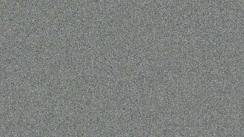 Panda Sneezing