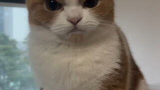 Getting angry