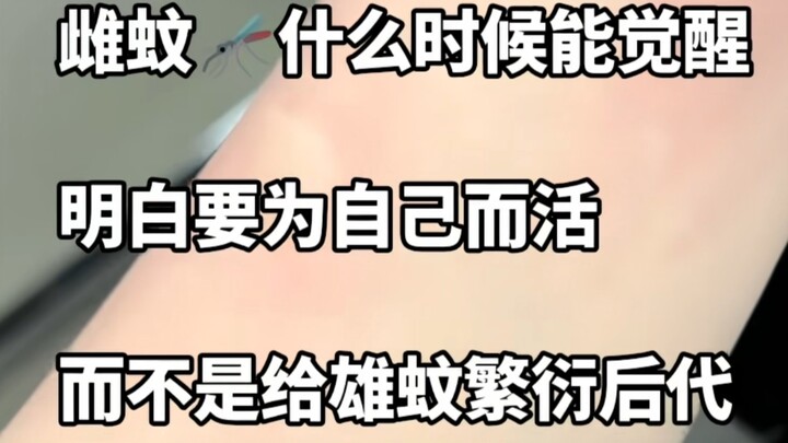 [Homo Sapiens TV] When will the female mosquito awaken? Mom, mom~