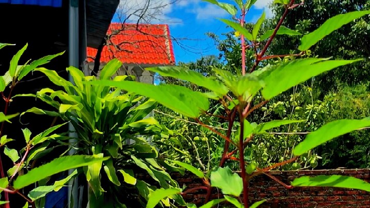 Một chút chill cho buổi trưa 😁