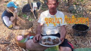 ขุดปูนา กินดิบสดๆ ก้อยปูไต่ (โหดแซ่บนัว)