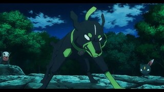 Zygarde ~AMV~ / Courtesy Call