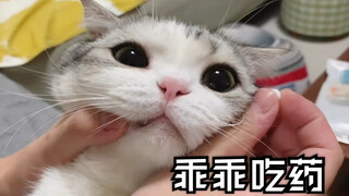 Feeding medicine to a cat requires quick reflexes and no mercy!