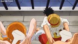Top 10 Trái Ác Quỷ Mang Khả Năng Bất Lão Trong One Piece-P3