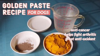 TURMERIC (GOLDEN) PASTE RECIPE FOR DOGS