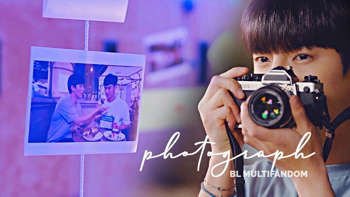 photograph || bl multifandom