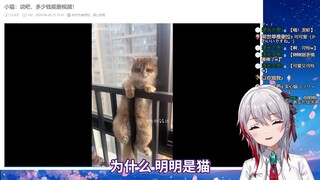 日本天然小姐姐看《小猫：说吧，多少钱能删视频！》