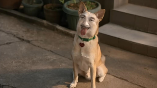 Tôi đã cười chết vì cái quảng cáo ngớ ngẩn này hahahahahaha