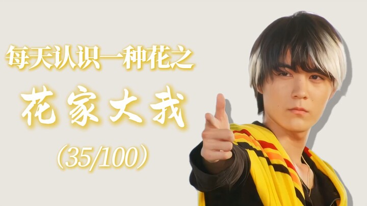 “花家大我的花语是孤勇的救赎与染血的仁心。”#花语 #假面骑士