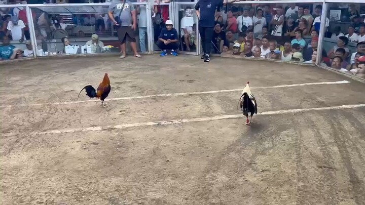 URBAN KNIGHTS 2 2ND FIGHT MUNTINLUPA COLISEUM