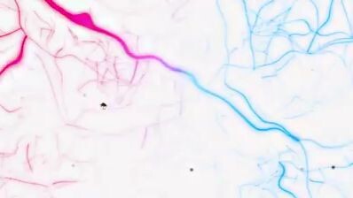 weathering with you short❤️🥰💓