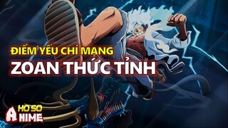 CỰC SỐC! Oda xác nhận điểm yếu chí mạng của người sử dụng năng lực Zoan thức tỉnh!