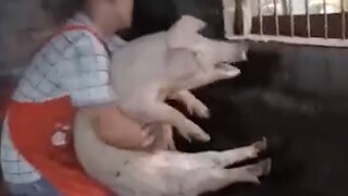 “像极了生气时的女朋友”