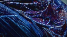 Divine manifestation eps 9