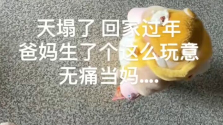 The sky’s falling—so I packed up and went off to college, only to come home and find my parents had 