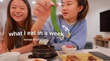 WHAT I EAT IN A WEEK *KOREAN FOOD EDITION*