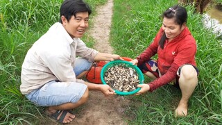Trúng Mánh Mùa Cá Cạn Sau Một Ngày Ra Đồng| TKQ T318