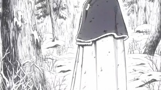 vinland Saga