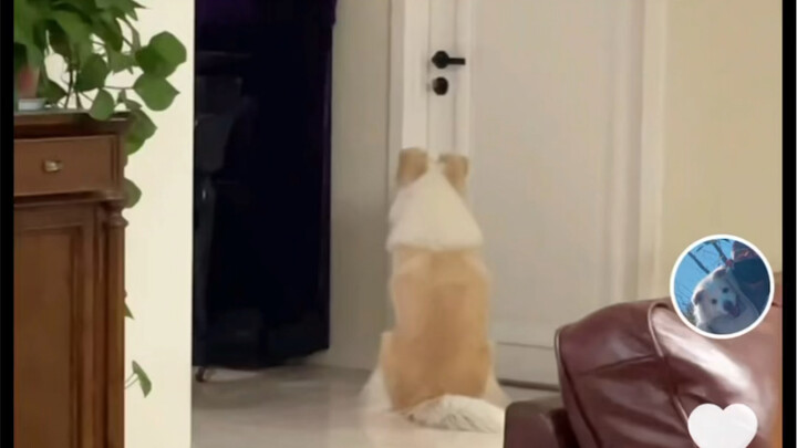 Looks like I’ve got nothing to do with this anymore.