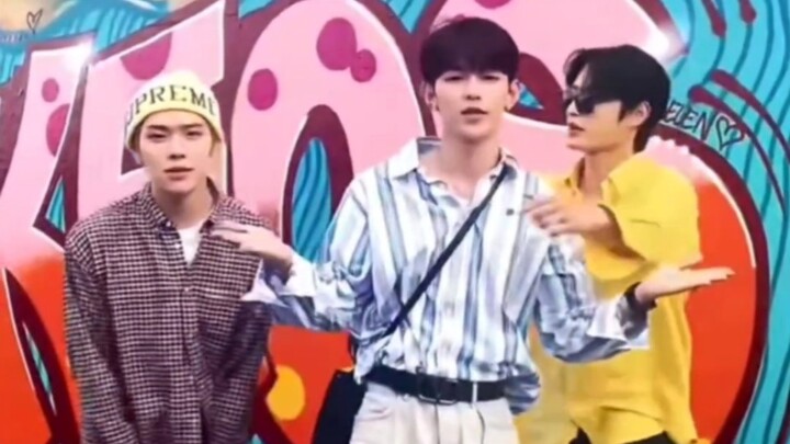 【ZB1】论昼人cha的极与极