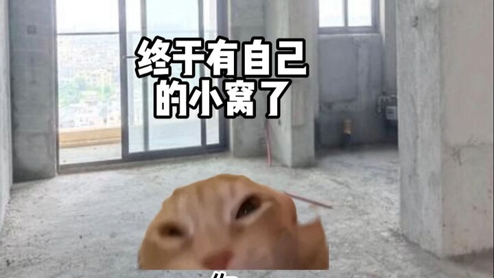 When Your Parents Renovated the Brand-New House While You Were Away