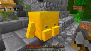 HEBI THỬ THÁCH 24 GIỜ NHẬN NUÔI BÉ BLOCK KIM CƯƠNG TRONG MINECRAFT_HEBI SỞ HỮU T
