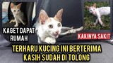 Kucing Minta Tolong Karena Tanganya Sakit Part 2 Alhamdulillah Sudah Bawa Pulang Dari Klinik..!