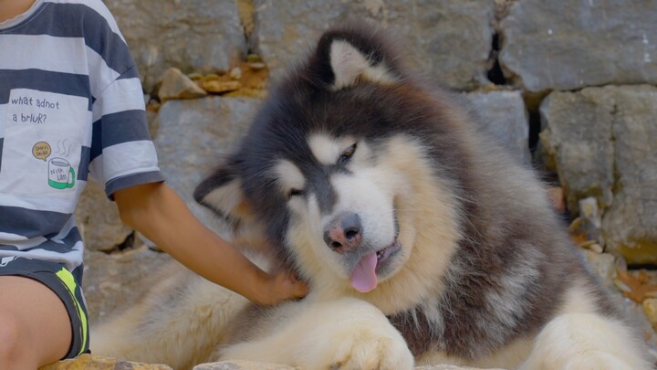 Hôm nay đổi sang A Hào gãi ngứa cho bản vương này… Sướng quá!
