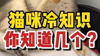 How many little-known facts about cats do you know?