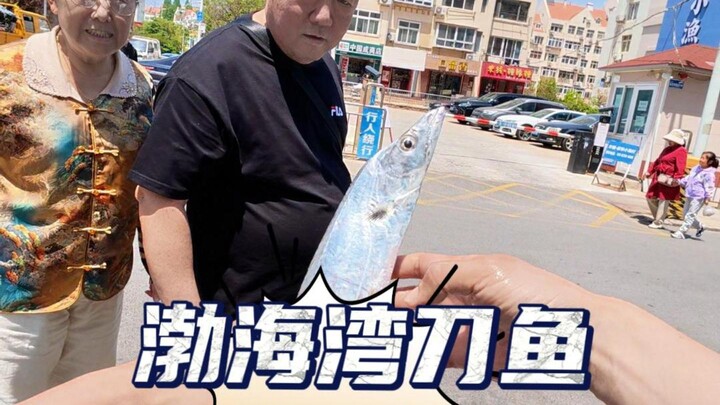 Bohai Bay hairtail, it’s really amazing, sold at a street stall right outside my apartment complex.