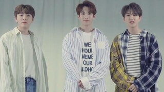 الفرقة الذكورية الشهيرة التي تم إهمالها خلال هذه السنوات الأربع (بوشي