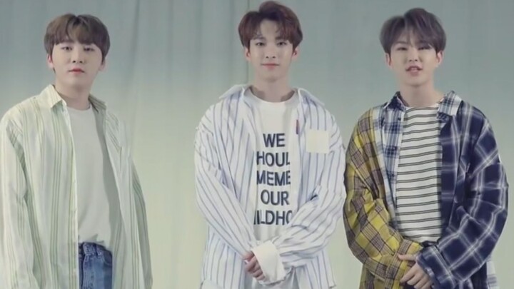 الفرقة الذكورية الشهيرة التي تم إهمالها خلال هذه السنوات الأربع (بوشي