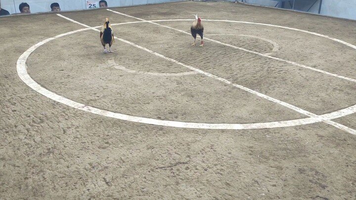 support me. thank you