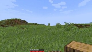 Minecraft: Điều gì sẽ xảy ra khi bạn ở trong máy chủ hai giờ?!