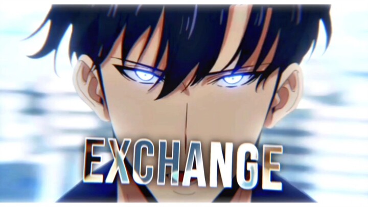 Solo Leveling - The Call (AMV EDIT)