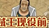 [Professional Ranking] One Piece Top Ten Active Combat Power Rankings!