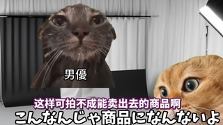 【熟肉】在南桐片制作公司打工的日常（早泻篇） | 猫meme