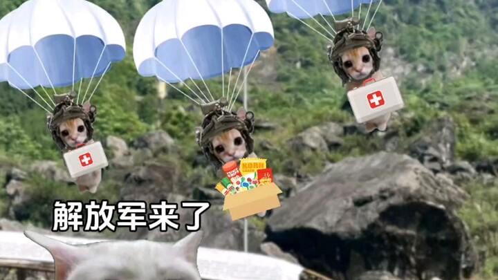 When I grew up, I became you