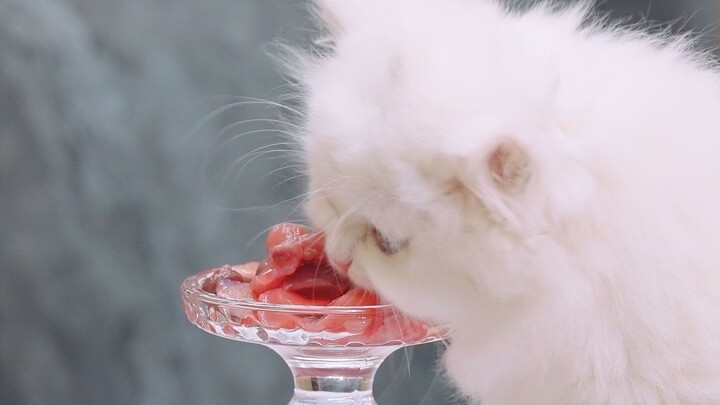Once we’ve had our fill of meat, we won’t feel so wronged anymore~