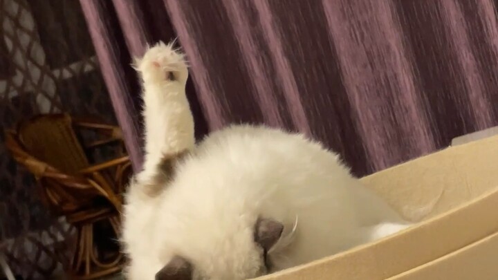 แชร์สถานะ