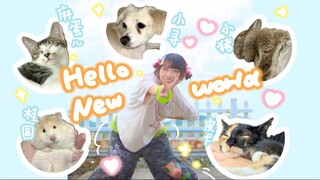 【TOBA ZOO】Hello・New World【拖T 2.0！！】