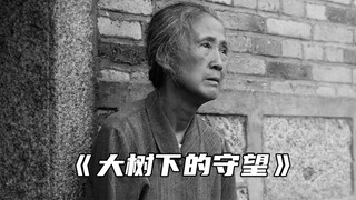 “树欲静而风不止 子欲养而亲不待"
