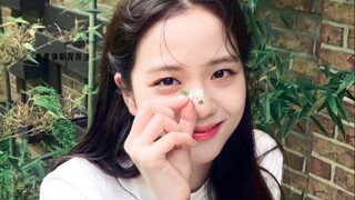 [Jisoo] "Sindrom penampilan tercantik".