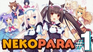 MAXIMUM CATGIRL JIGGLE PHYSICS! - Ep 1 - Nekopara