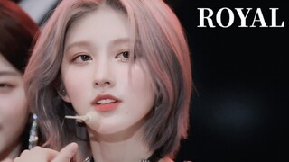 A direct shot blessed by light! Golden Autumn Royal Youth Day 4K fan shot