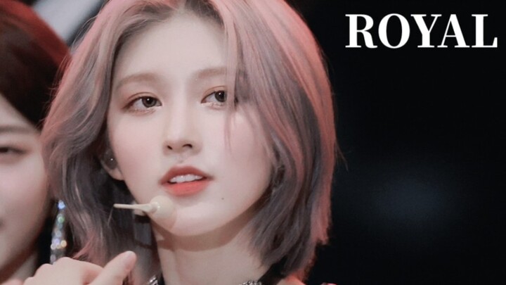 A direct shot blessed by light! Golden Autumn Royal Youth Day 4K fan shot